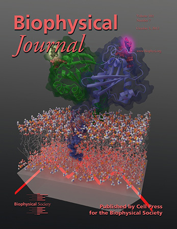 Coverbild des Biophysical Journal