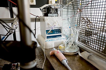Die Arbeiten in den Bochumer Laboren könnten helfen, optogenetische Werkzeuge künftig zielgerichtet herzustellen. © RUB, Kramer